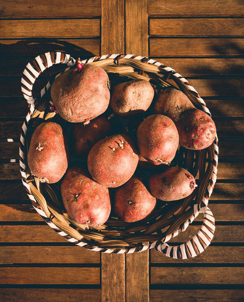 A top view shot of a heap of red potatoes in a basket under the sunlight - Фото, изображение