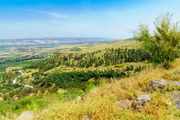 View of the landscape of the Lower Jordan River valley. Northern Israel - Foto, immagini
