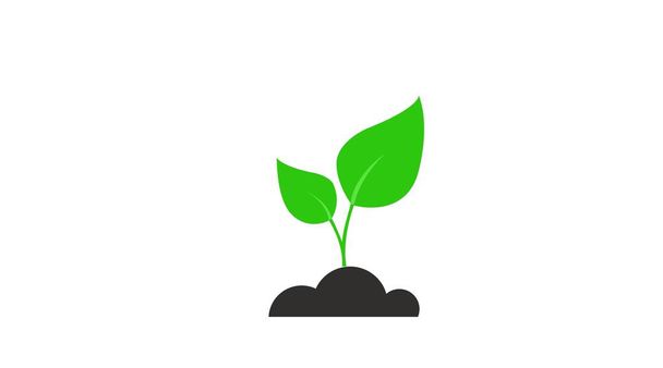 Plant Icon. Vector illustration of a plant in the soil - Vector, Image
