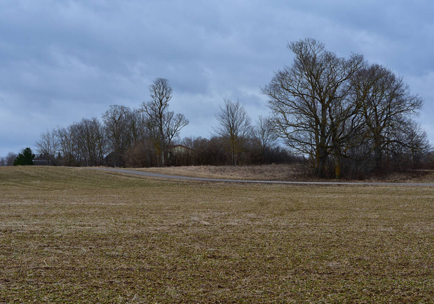 Ландшафт сільськогосподарського поля з весняними деревами без листя поруч із сільською дорогою, що проходить через сільські угіддя під хмарним небом у дощовий вітряний день
. - Фото, зображення