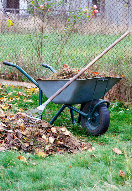 V zahradě stojí údržba zeleného trávníku, kovové hrábě a zahradní vozík se sklizenými listy. Svislý obrázek, místo pro kopírování. - Fotografie, Obrázek