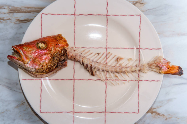Espina dorsal de pez pargo rojo con cabeza después de terminar la cena - Foto, Imagen