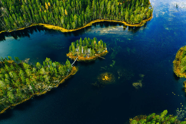 Aerial view of wild green forests and blue lakes and rivers in summer Finland - Foto, imagen