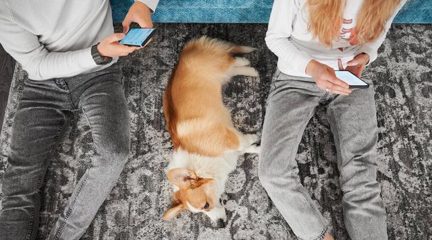 Top view of married couple sitting on the floor with adorable Corgi and using mobile phones. Young man and woman surfing the internet on smartphones while spending time with cute dog at home. - Photo, image