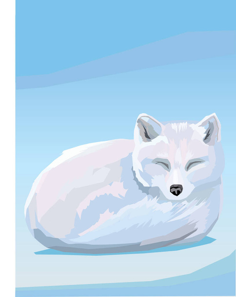 Arctic Fox - wektorowy obraz zagrożonego zwierzęcia. Odizolowane tło, łatwe do edycji, wydrukowania lub powiększenia. - Wektor, obraz