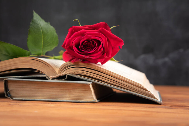 red rose on a book on a wooden background - Fotó, kép