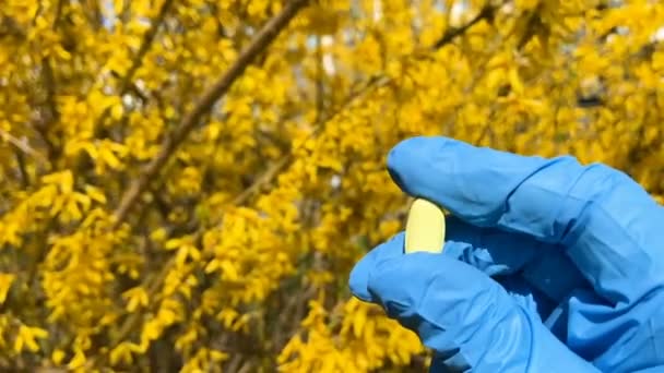 Ręczne gospodarstwa pigułki walki alergie wiosna na tle drzewa kwiat, leczenie na zewnątrz w naturze, zbliżenie, makro - Materiał filmowy, wideo