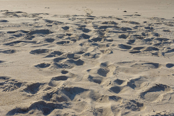 Piaszczyste tło z odciskami stóp na piasku - Zdjęcie, obraz