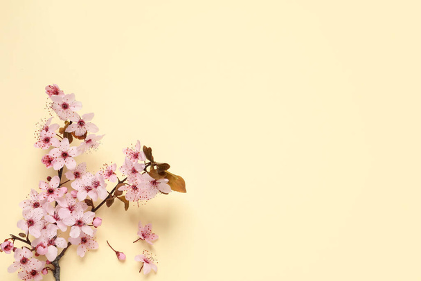 Blossoming spring tree branch on beige background, flat lay. Space for text - Photo, image