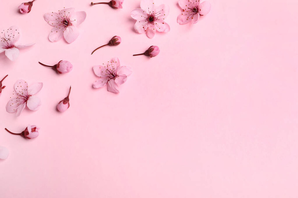 Beautiful spring tree blossoms as border on pink background, flat lay. Space for text - Foto, immagini