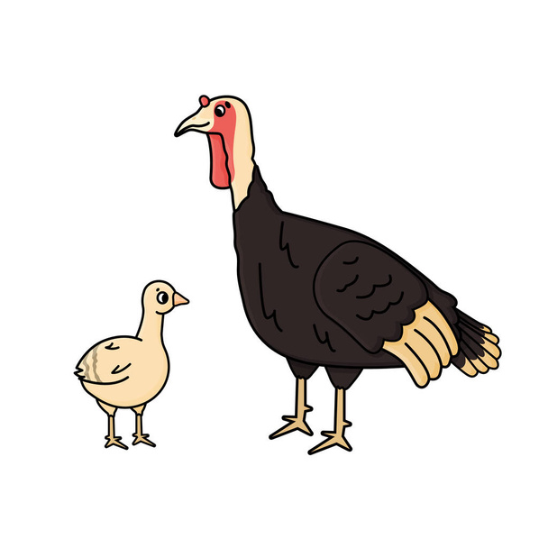 Vector Cartoon Umriss Türkei weiblich und gelb oult Huhn Baby. Doodle isoliert handgezeichnete Tiere Illustration auf weißem Hintergrund - Vektor, Bild