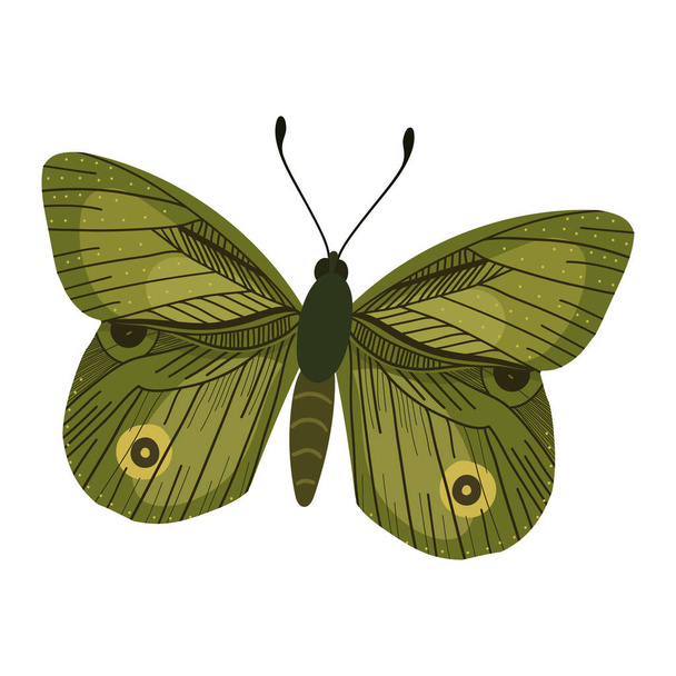 Beautifull green butterfly. Cartoon animal. - Vektör, Görsel