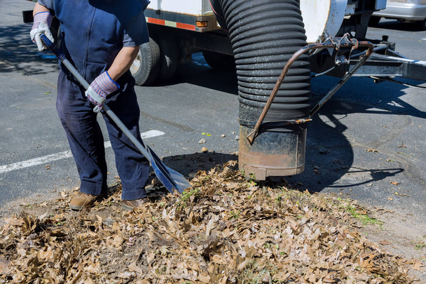 Serviço de limpeza municipal para queda de folhas sendo vácuo na rua da cidade no outono - Foto, Imagem