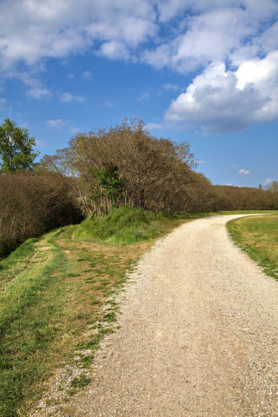 Bend in a gravel road next to a grove in the italian countryside in spring - Photo, Image