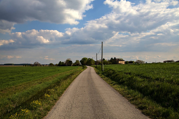 Camino de grava bordeado por el campo en un día claro en primavera en el campo italiano - Foto, imagen