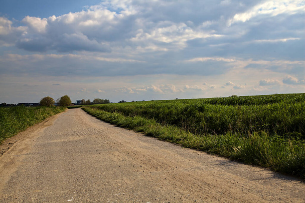 Гравійна дорога межувала полем у ясний день весною в італійському лівому боці. - Фото, зображення