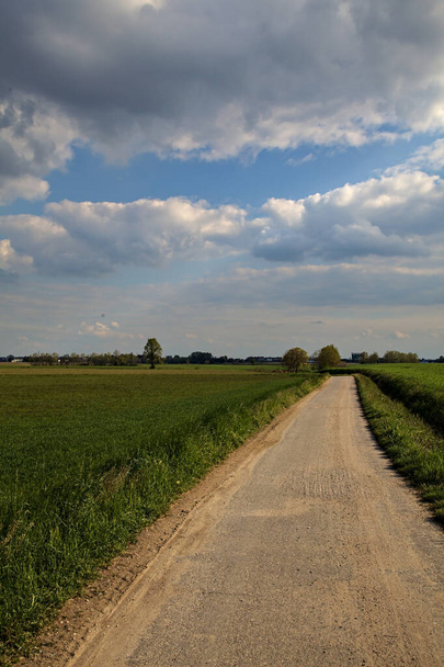 Droga żwirowa granicząca z polem w pogodny dzień wiosną na włoskiej wsi - Zdjęcie, obraz