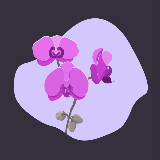 orchid Isolated bright idea for the background - ベクター画像