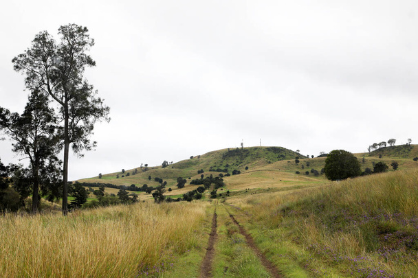 クイーンズランドオーストラリアのキラーニーの田舎町の景色。丘陵と緑のパドックで - 写真・画像