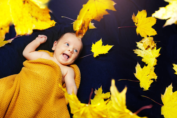 Happy little baby laying in orange and yellow autumn maple leaves - Foto, imagen