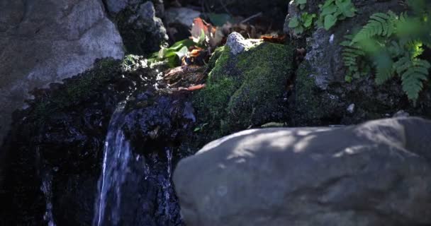 A slow motion of water fall in the forest daytime - Footage, Video