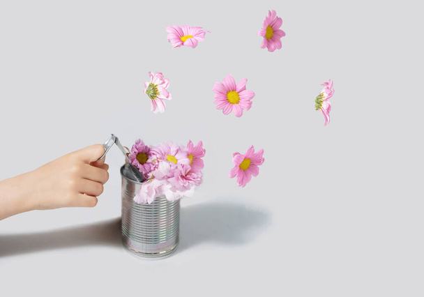 Unique gravity and levitation arrangement of delightful, colorful daisies and metal tin. A concept of child hand opening food container against ultimate gray background. - Photo, Image