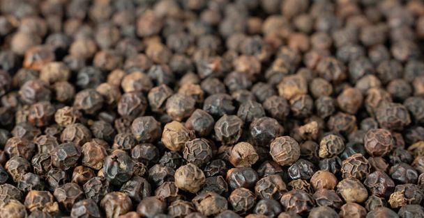 Black pepper grains as background close up. selective focus - Photo, Image