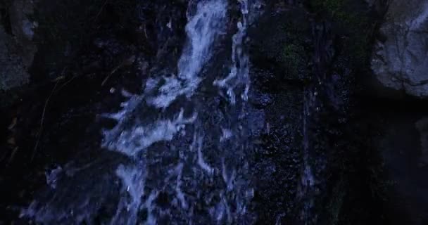 Zpomalený pohyb vody padá ve dne v lese - Záběry, video