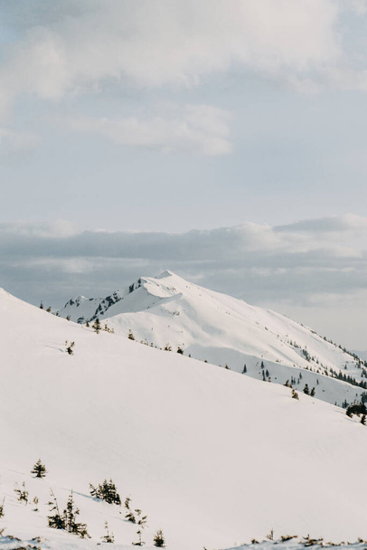 zaśnieżone verginis gór w Karpatach - Zdjęcie, obraz