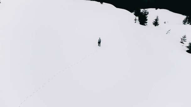 Hombre solitario caminando en las montañas en la nieve - Foto, Imagen