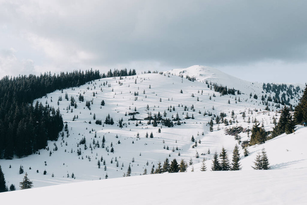 verschneite Verginis der Berge in den Karpaten - Foto, Bild