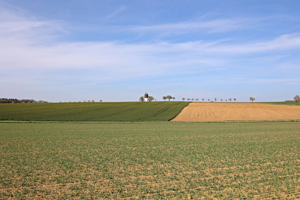 Frühlingslandschaft mit ausgesäten Feldern und blauem Himmel. - Foto, Bild