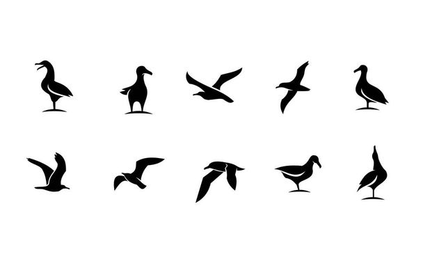conjunto colección gaviota pájaro silueta negro logotipo icono diseño aislado fondo blanco - Vector, Imagen