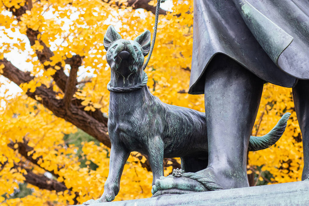 Saigo Takamori van hond standbeeld op gele esdoorn bladeren achtergrond bij Ueno Park. Een van de meest invloedrijke samoerai in heel Japan. - Foto, afbeelding