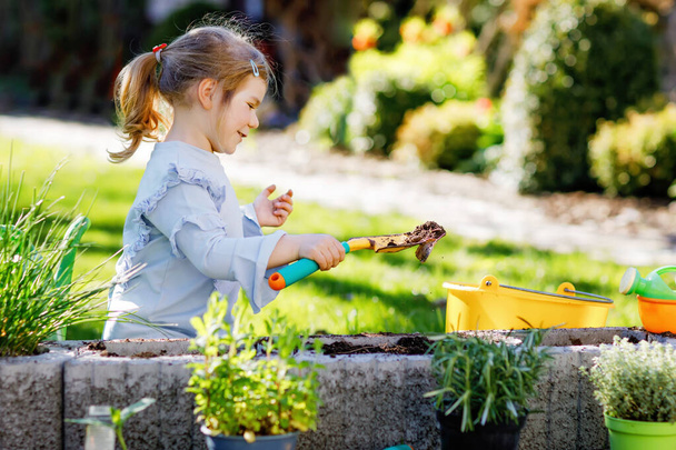 Suloinen pieni lapsi tyttö pitelee puutarha lapio vihreitä kasveja taimi käsissä. Söpö lapsi oppii puutarhanhoitoa, istutusta ja vihannesten yrttien viljelyä kotipuutarhassa. Ekologia, luomuruoka. - Valokuva, kuva
