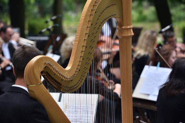 арфа с руками, играющими музыканта во время концерта классической музыки  - Фото, изображение