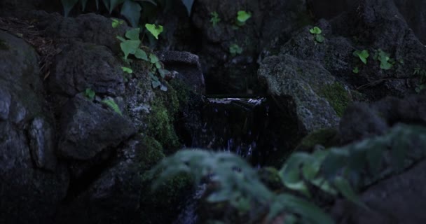 Un rallentamento della caduta dell'acqua nella foresta diurna - Filmati, video