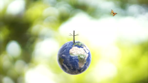 Farfalla sul pianeta Terra globo palla e albero in crescita su sfondo verde sfocatura soleggiata. Salvare l'ambiente, salvare un pianeta pulito, concetto di ecosistema. Rendering 3D. - Filmati, video