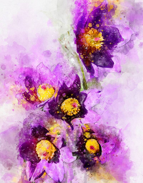 Aquarela pintura de pasqueflower (Pulsatilla vulgaris) - Foto, Imagem