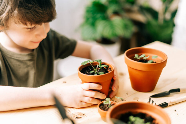 Jardineros de niños planta en maceta - Foto, imagen