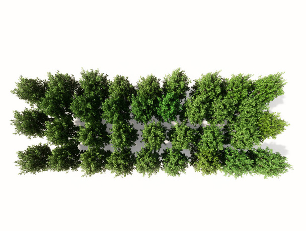 Concept of conceptuele groep van groene bosboom geïsoleerd op witte achtergrond, min teken. 3d illustratie metafoor voor natuur, natuurbehoud, opwarming van de aarde, milieu, ecologie, klimaat, lente of zomer - Foto, afbeelding