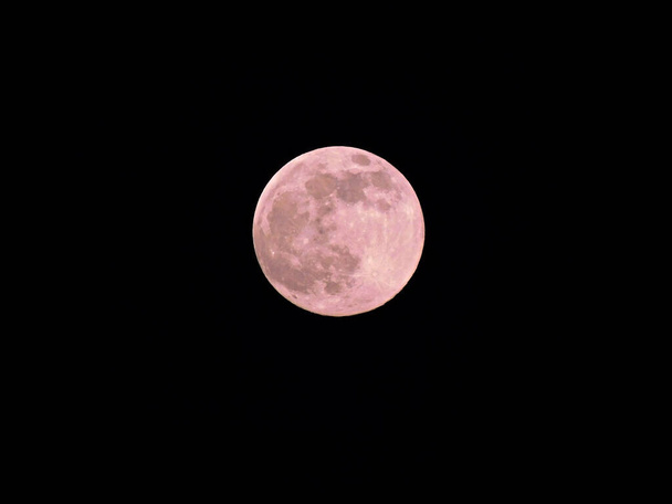 Luna della terra poco prima della sua luna piena fasi nel mese di aprile 2021 nel Uckermark - Foto, immagini