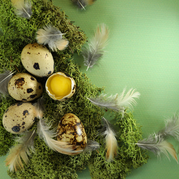ovos quiail no fundo verde com lugar para texto - Foto, Imagem
