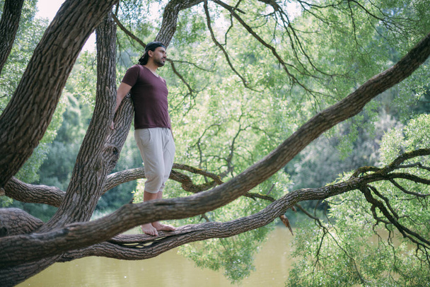 Parkta bir ağaçta genç bir adam oturuyor. Yaz kıyafetleri ve çıplak ayaklı yakışıklı adam yeşil bir parkta dinleniyor. Büyük bir söğüt ağacının üzerinde, yaz gününün tadını çıkarıyor. - Fotoğraf, Görsel