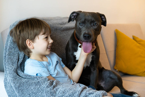 Little boy with big dog, love and taking care of pets. - Фото, изображение