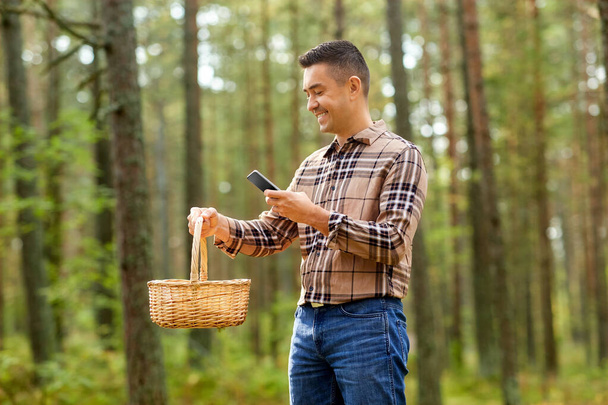 man using smartphone to identify mushroom - Φωτογραφία, εικόνα