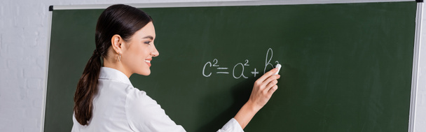 Smiling teacher writing equation on chalkboard, banner  - Photo, Image