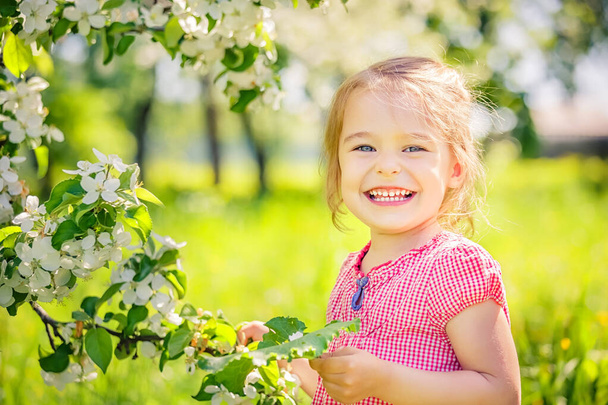 Happy little girl in apple tree garden - Photo, Image