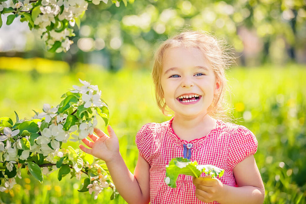 Happy little girl in apple tree garden - Valokuva, kuva