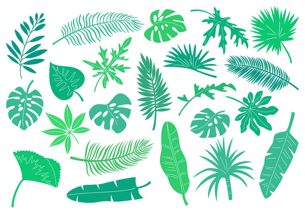 Set of tropical leaves and plants. Vector illustration. - Vector, afbeelding